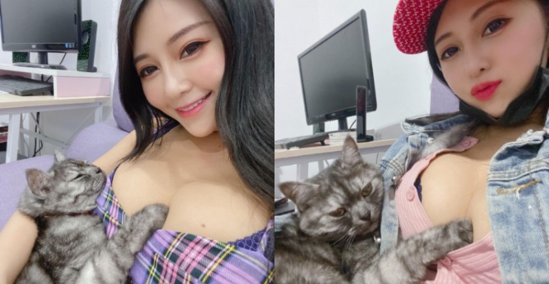 【万博娱乐】挑釁的眼神!巨乳甜心「安希」的愛貓每天爽躺人肉軟墊!