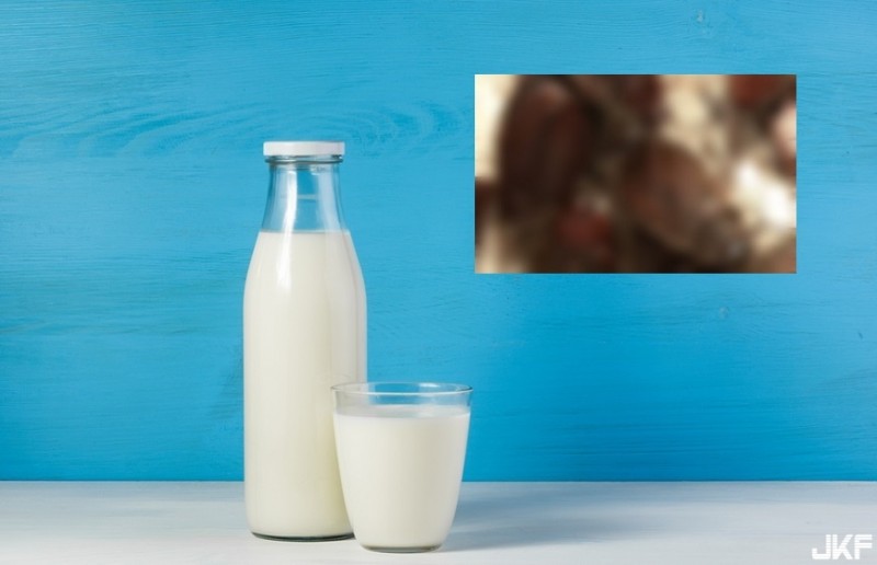 【万博娱乐】超營養「蟑螂奶」！能量是牛奶3倍 你敢喝嗎？