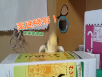 【万博娱乐】狂！小玄鳳變搖~~滾~~鸚鵡，經典神曲無違和ROCK！