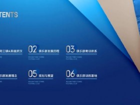 【万博足球】开始招商?投资人停止注资,武汉三镇发布41页俱乐部概况PPT