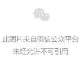 【万博足球】马蒂普的位置问题