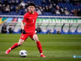 【万博足球】国脚所在俱乐部分布:海港8人成大户,三镇4人、国安泰山均3人