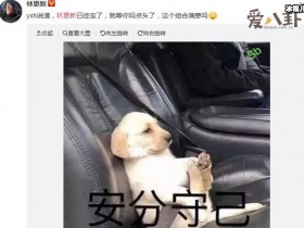 【万博娱乐】林更新否认出演默读 果然是辟谣最前线文案太搞笑了