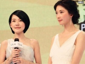 【万博娱乐】小s和林志玲有什么过节, 小S首谈两人不合传闻说了什么