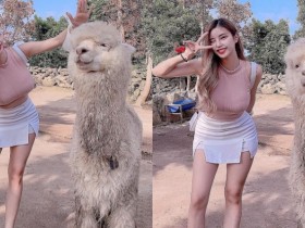 【万博娱乐】草尼馬真的好大!巨乳姐姐和巨型羊駝合照 網友:旁邊是雙峰駱駝?