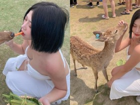 【万博娱乐】台版奈良驚見「短髮爆乳辣妹」嘴對嘴餵小鹿!網友驚呼:怎麼這麼兇!